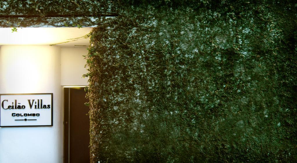 Colombo House By Ceilao Villas エクステリア 写真
